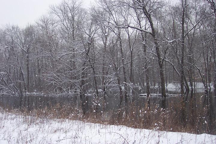 Snow 019.jpg